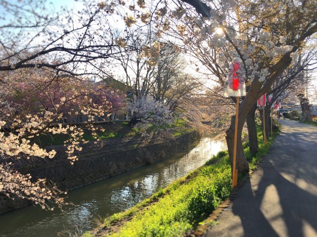 四季を感じる住まいづくり