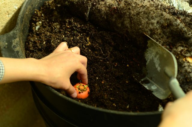 家庭菜園 コンポストで堆肥 エコ