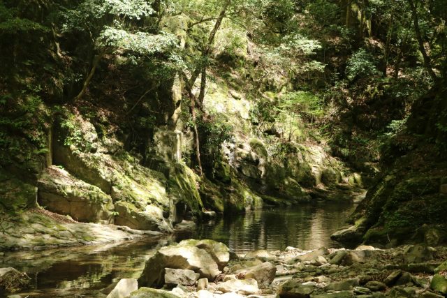 自然素材の家のスタッフの趣味はアウトドア